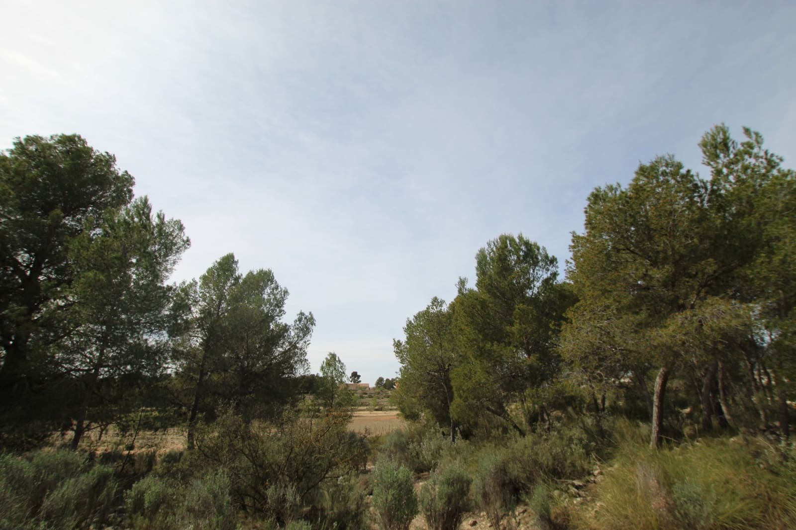1 bedroom Finca/Country House for sale in Monovar / Monover with garage - € 349,995 (Ref: 9819548)