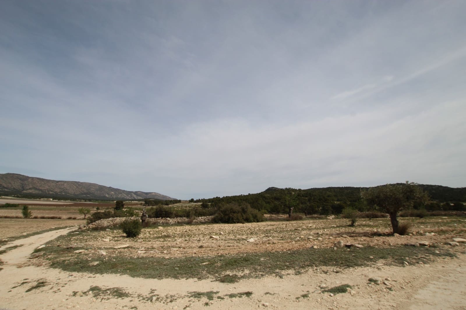 1 bedroom Finca/Country House for sale in Monovar / Monover with garage - € 349,995 (Ref: 9819548)