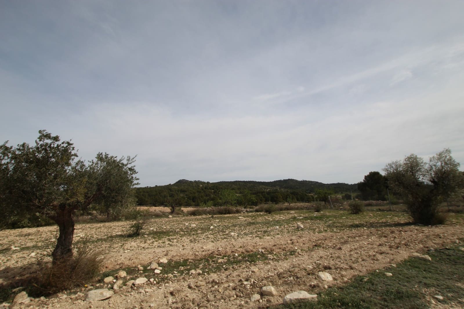 1 bedroom Finca/Country House for sale in Monovar / Monover with garage - € 349,995 (Ref: 9819548)