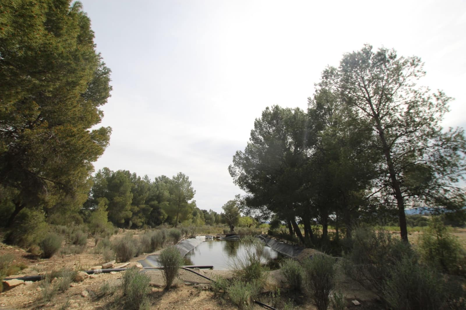 1 bedroom Finca/Country House for sale in Monovar / Monover with garage - € 349,995 (Ref: 9819548)