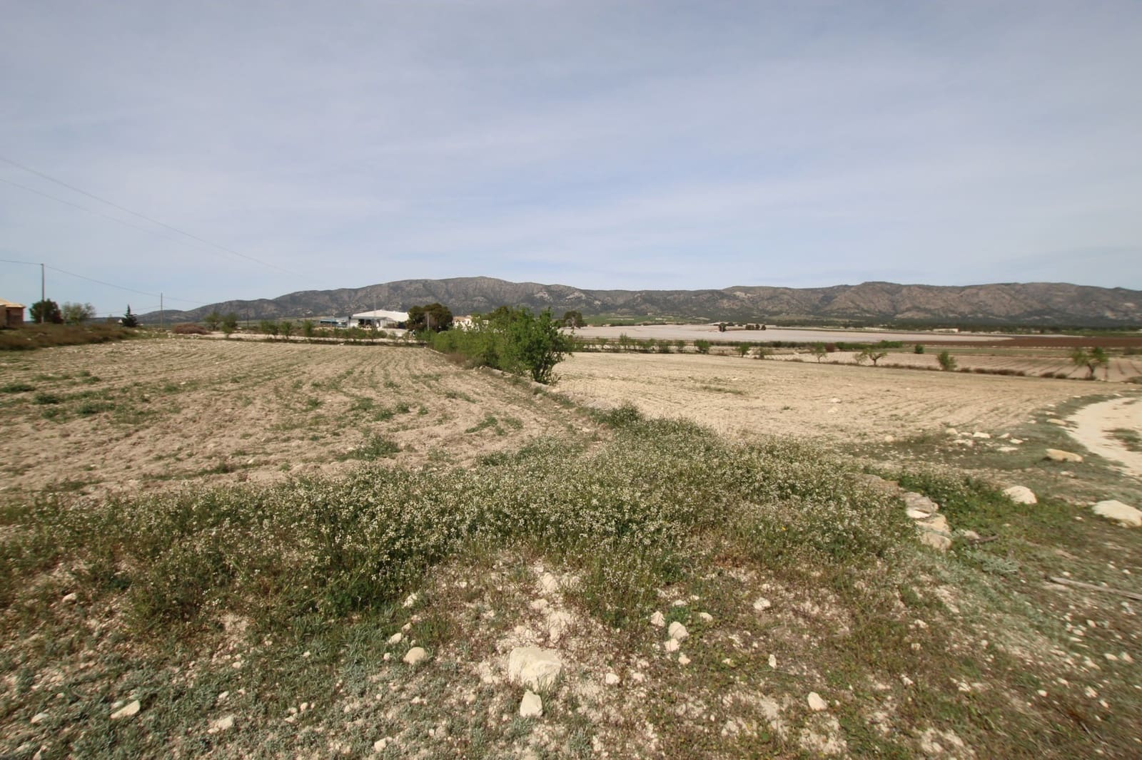 1 bedroom Finca/Country House for sale in Monovar / Monover with garage - € 349,995 (Ref: 9819548)
