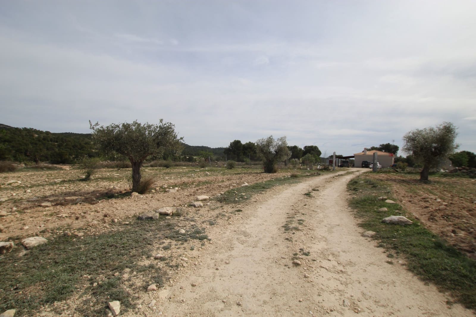 1 bedroom Finca/Country House for sale in Monovar / Monover with garage - € 349,995 (Ref: 9819548)