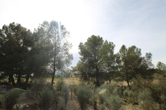 1 soveværelse Finca/Landehus til salg i Monóvar / Monóver med garage - € 349.995 (Ref: 9819548)