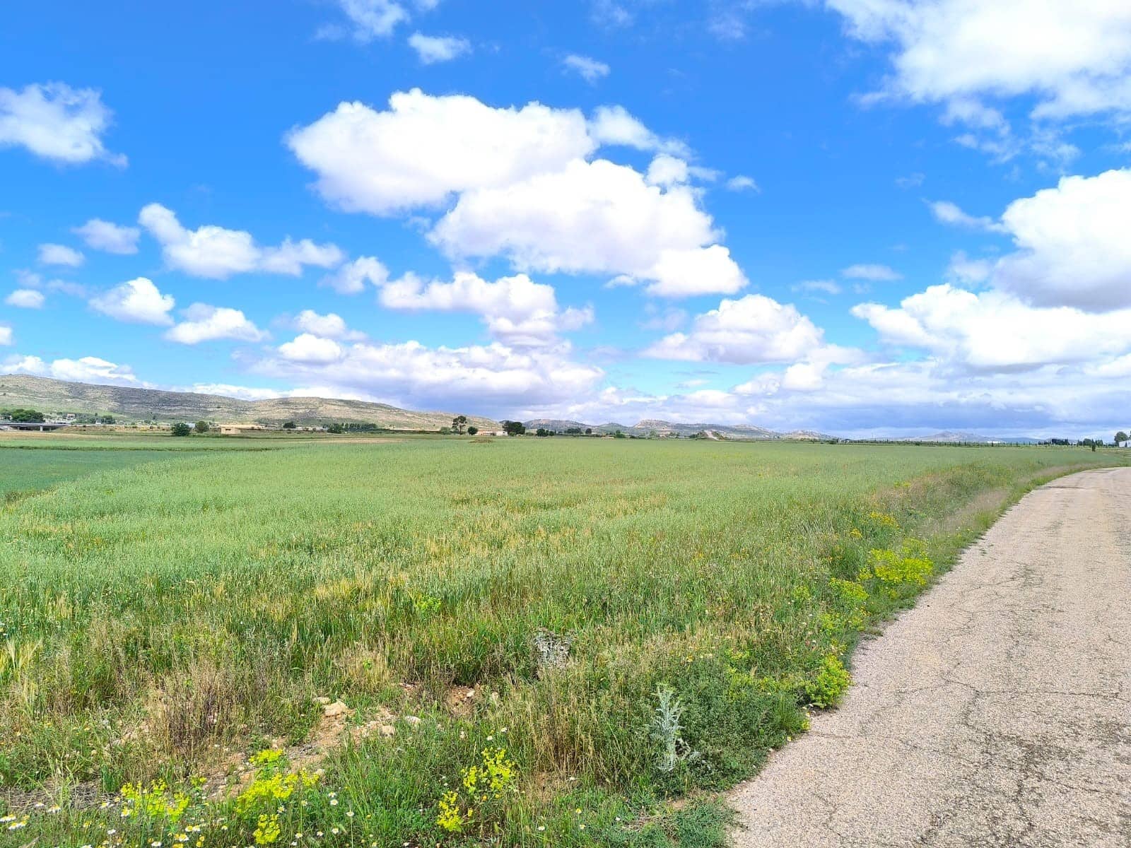 Grond te koop in Yecla - € 55.000 (Ref: 9824557)