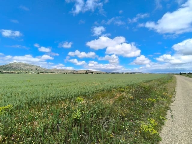 Grond te koop in Yecla - € 55.000 (Ref: 9824557)