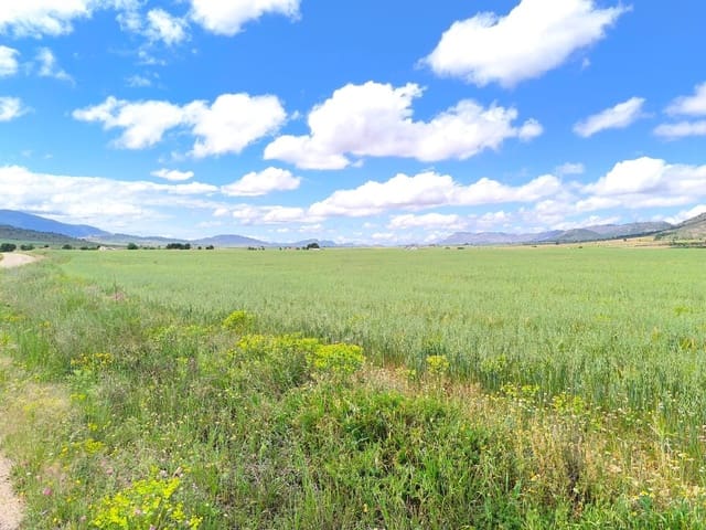 Grond te koop in Yecla - € 55.000 (Ref: 9824557)