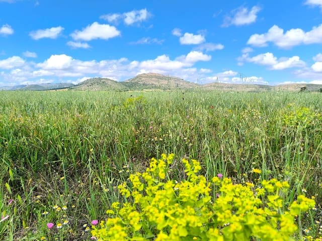 Grond te koop in Yecla - € 55.000 (Ref: 9824557)