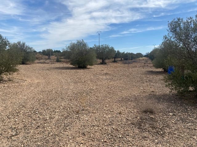 1 Zimmer Finca/Landgut zu verkaufen in Caudete mit Garage - 67.500 € (Ref: 9824558)