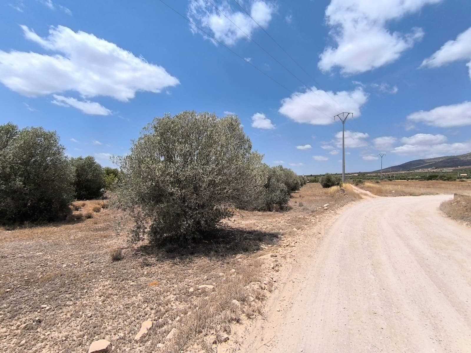 1 Zimmer Finca/Landgut zu verkaufen in Caudete mit Garage - 67.500 € (Ref: 9824558)
