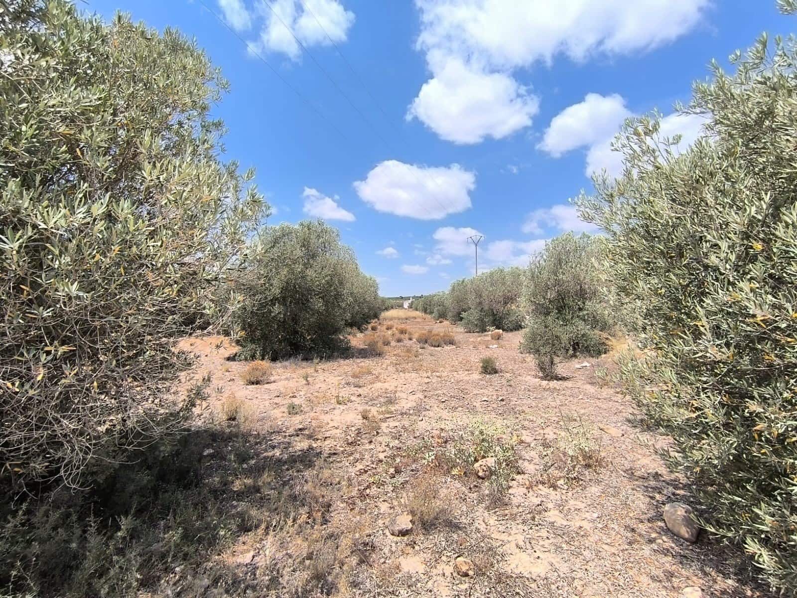 1 Zimmer Finca/Landgut zu verkaufen in Caudete mit Garage - 67.500 € (Ref: 9824558)