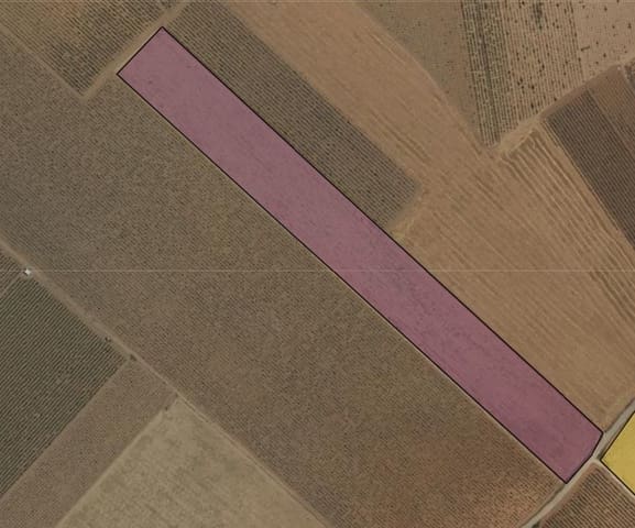 Terreno Não Urbanizado para venda em Yecla - 43 500 € (Ref: 9832276)