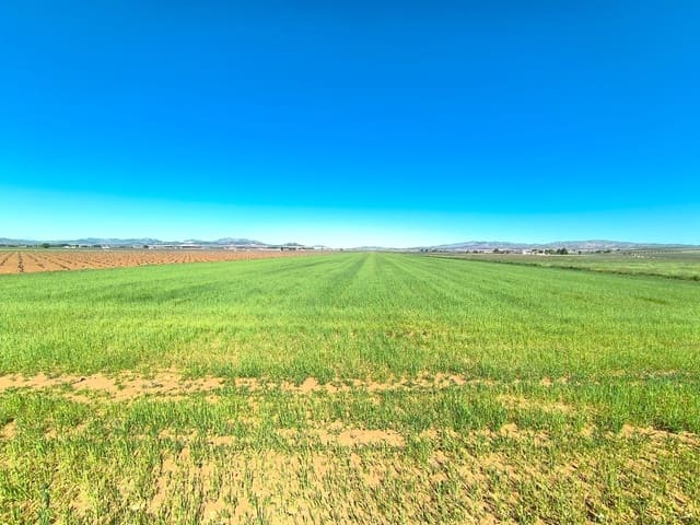 Terreno Não Urbanizado para venda em Yecla - 43 500 € (Ref: 9832276)