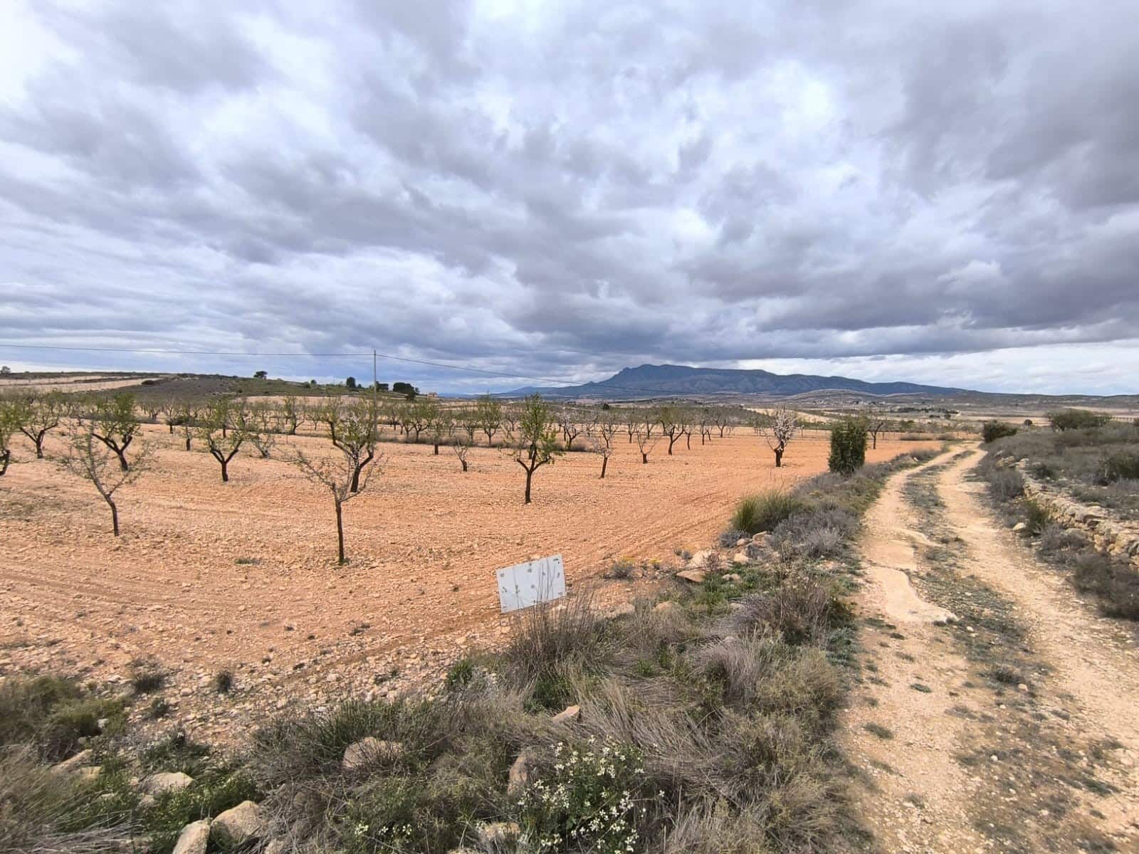 Undeveloped Land for sale in Pinoso - € 34,300 (Ref: 9832726)
