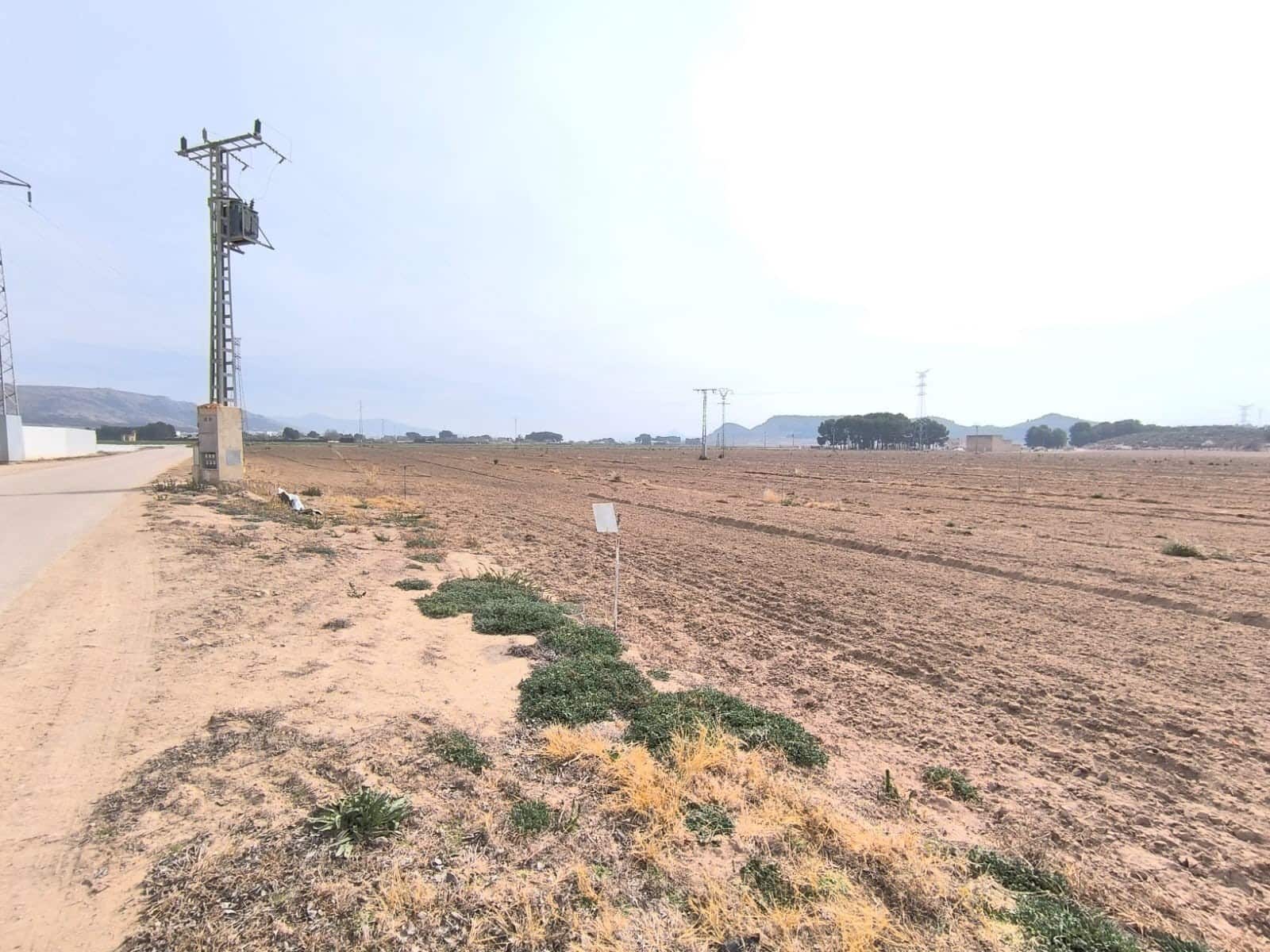 Undeveloped Land for sale in Villena - € 1,400,000 (Ref: 9832861)