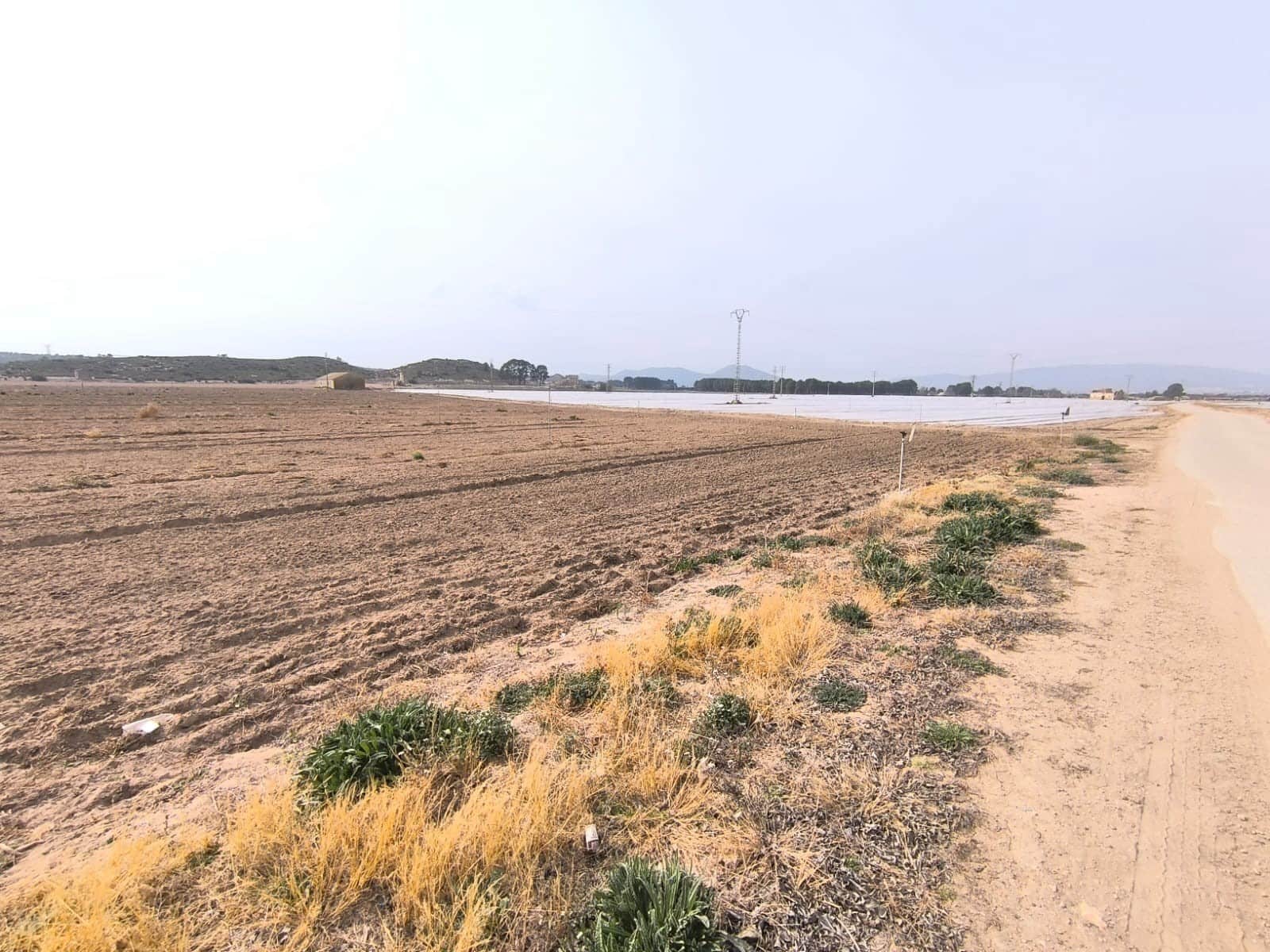 Undeveloped Land for sale in Villena - € 1,400,000 (Ref: 9832861)