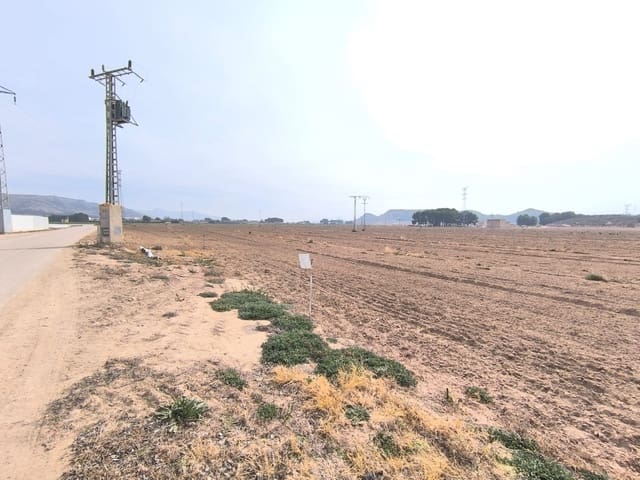 Grunde uden byggetilladelser til salg i Villena - € 1.400.000 (Ref: 9832861)