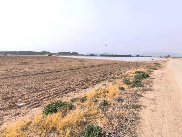 Grunde uden byggetilladelser til salg i Villena - € 1.400.000 (Ref: 9832861)