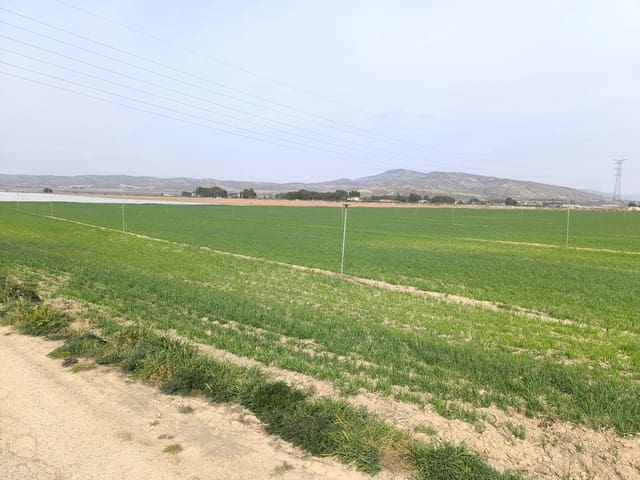 Grunde uden byggetilladelser til salg i Villena - € 1.400.000 (Ref: 9832861)