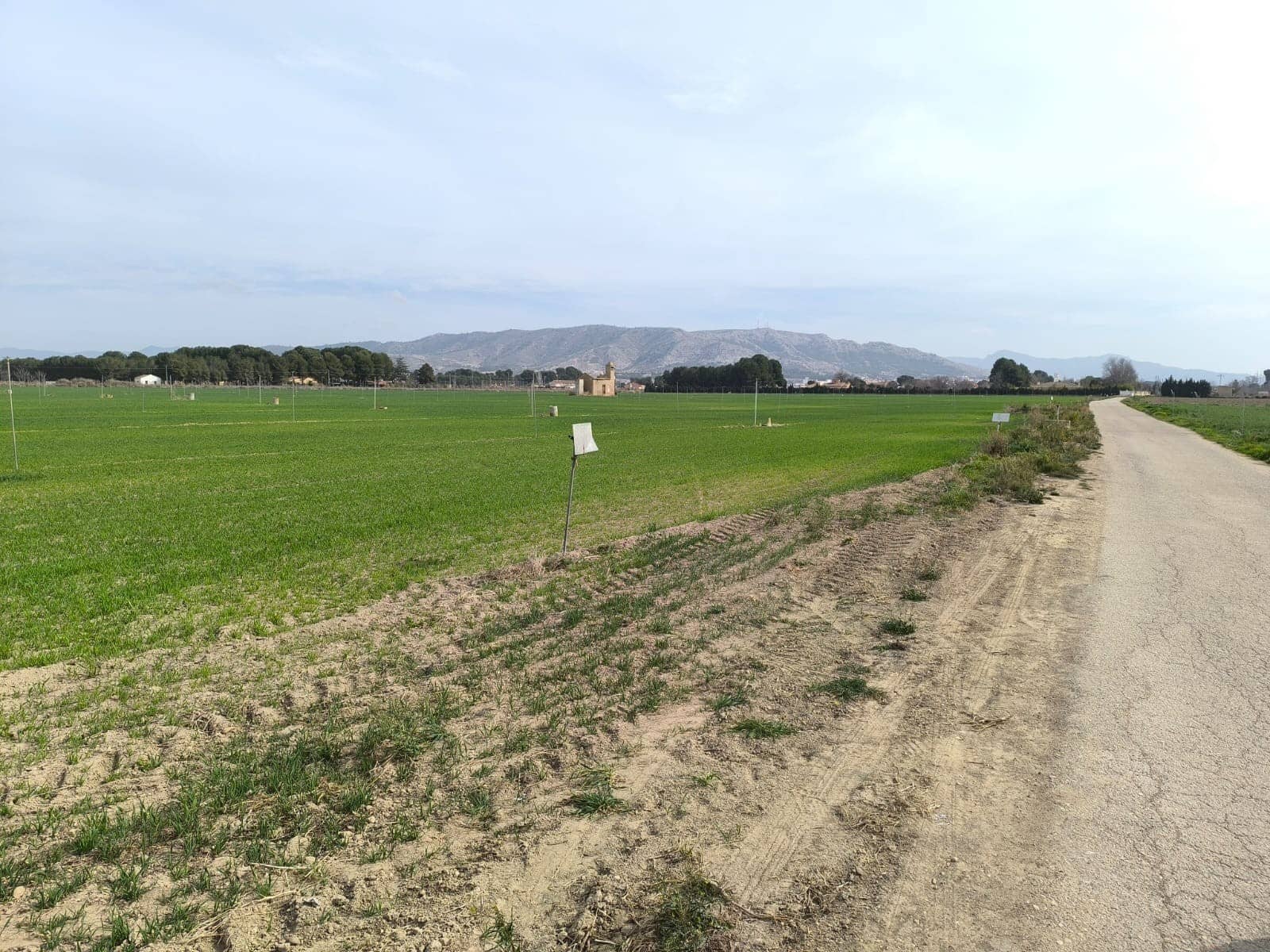 Undeveloped Land for sale in Villena - € 1,400,000 (Ref: 9832861)