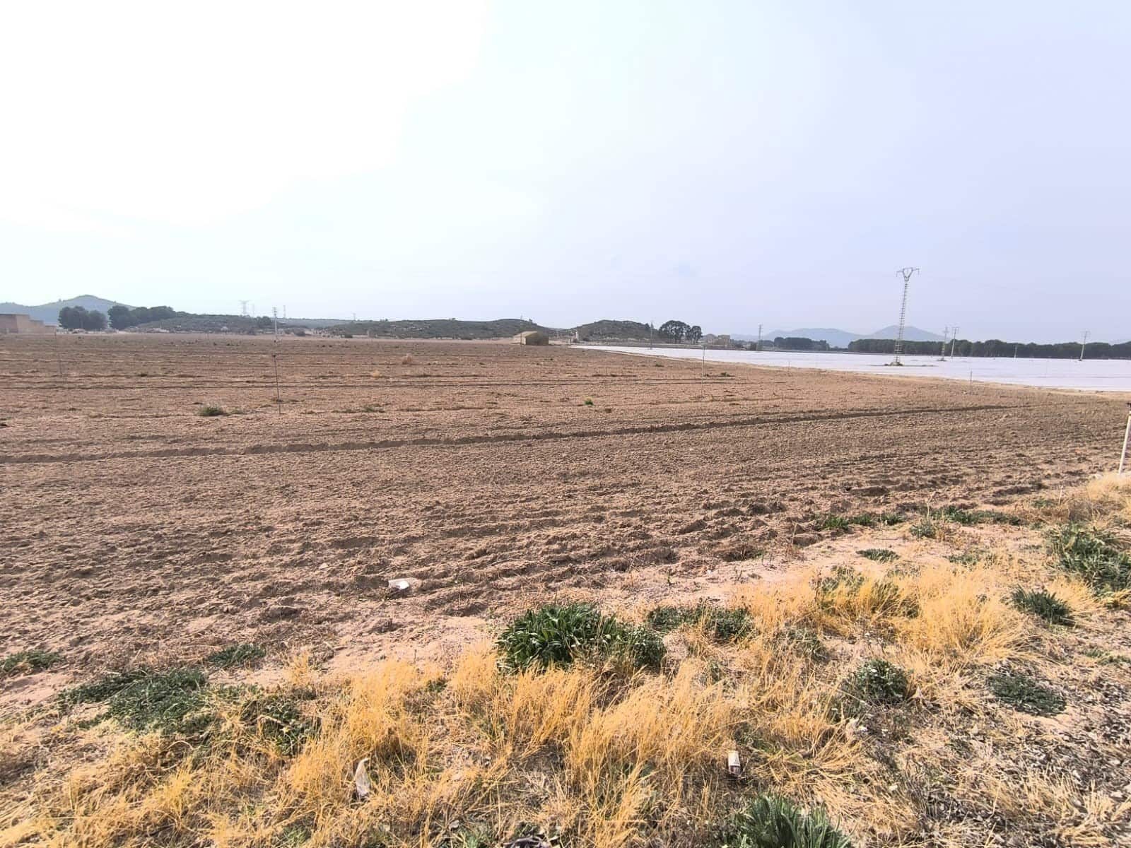 Undeveloped Land for sale in Villena - € 1,400,000 (Ref: 9832861)