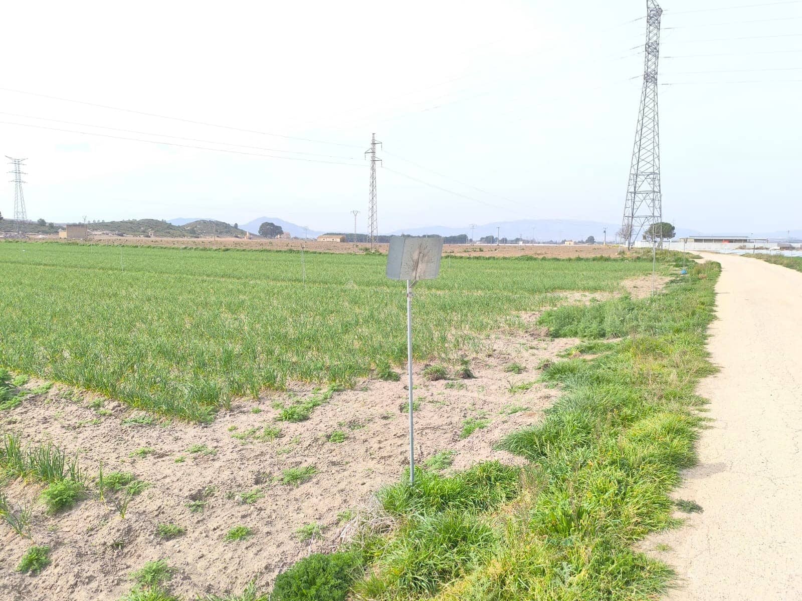 Undeveloped Land for sale in Villena - € 1,400,000 (Ref: 9832861)