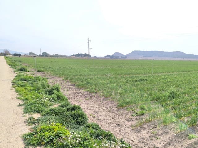 Grunde uden byggetilladelser til salg i Villena - € 1.400.000 (Ref: 9832861)