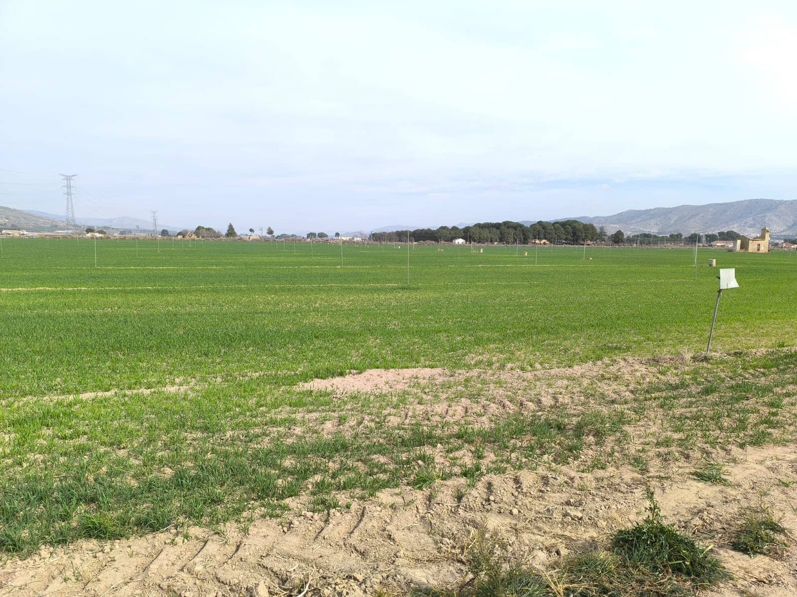 Undeveloped Land for sale in Villena - € 1,400,000 (Ref: 9832861)