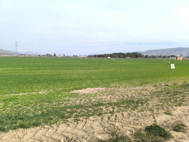 Grunde uden byggetilladelser til salg i Villena - € 1.400.000 (Ref: 9832861)