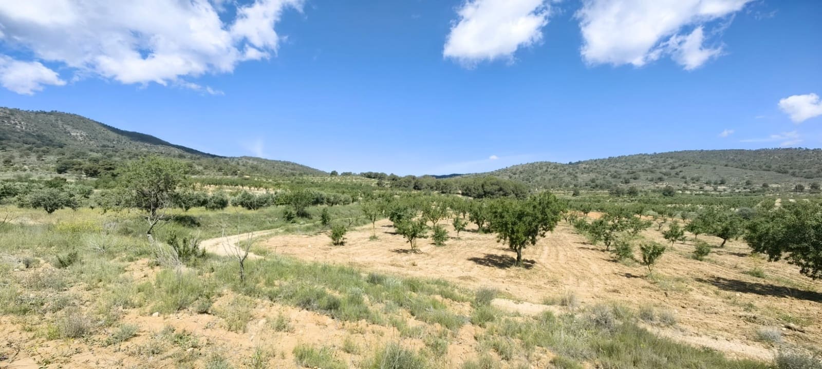 Terreno Não Urbanizado para venda em Pinoso - 38 000 € (Ref: 9833008)