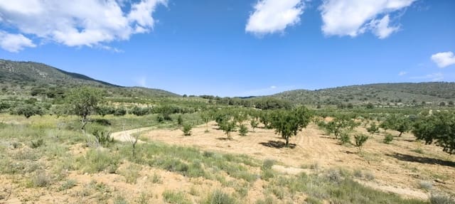 Grunde uden byggetilladelser til salg i Pinoso - € 38.000 (Ref: 9833008)
