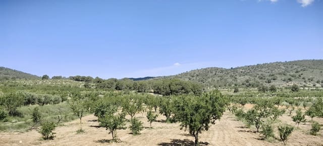 Grunde uden byggetilladelser til salg i Pinoso - € 38.000 (Ref: 9833008)
