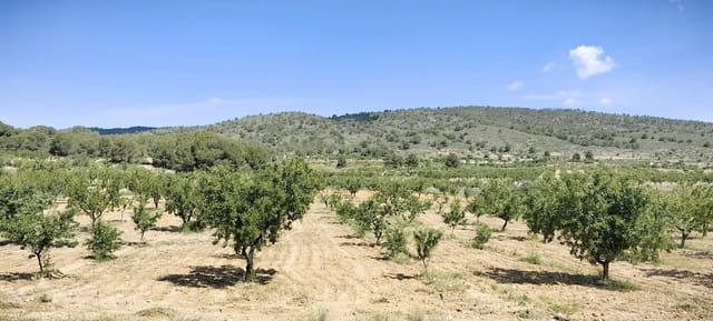 Grunde uden byggetilladelser til salg i Pinoso - € 38.000 (Ref: 9833008)