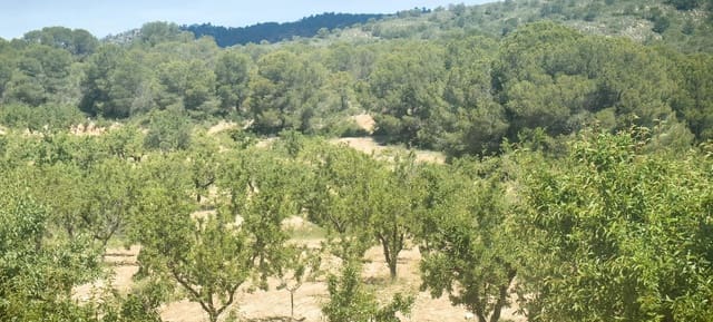 Grunde uden byggetilladelser til salg i Pinoso - € 38.000 (Ref: 9833008)