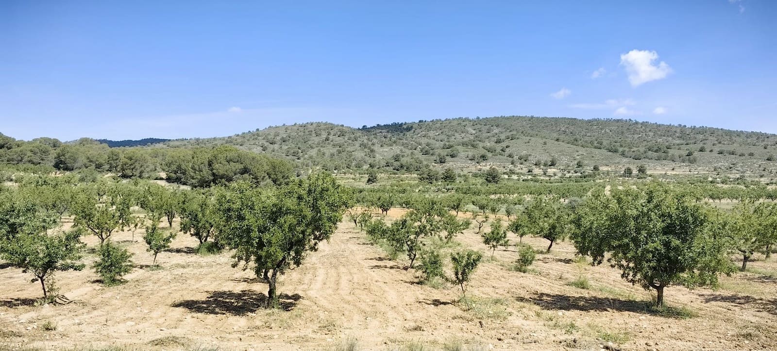 Undeveloped Land for sale in Raspay - € 38,000 (Ref: 9833008)