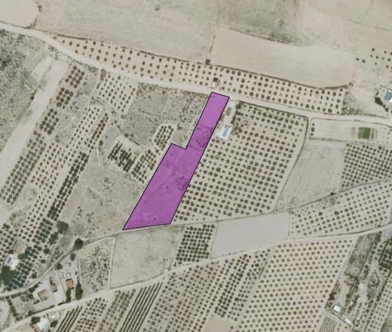 Undeveloped Land for sale in Caudete - € 12,000 (Ref: 9856122)