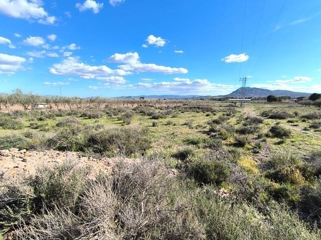 Undeveloped Land for sale in Caudete - € 12,000 (Ref: 9856122)