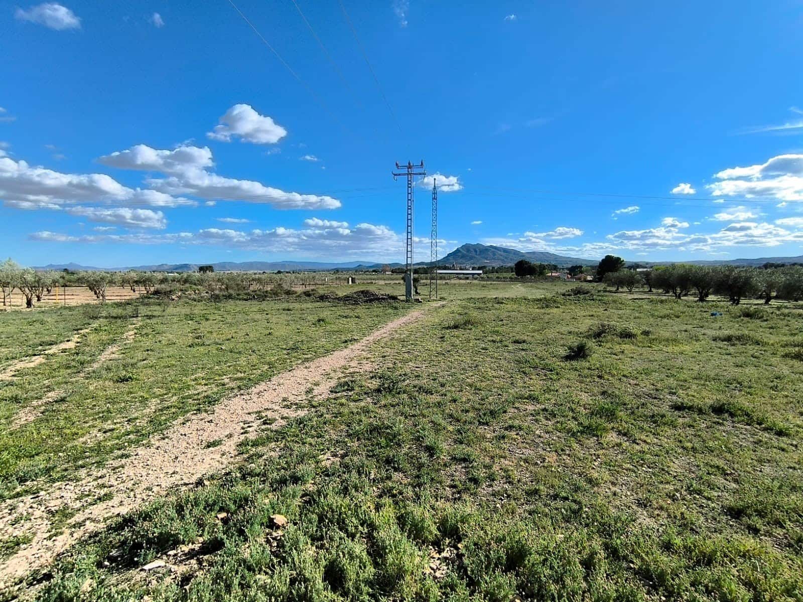 Undeveloped Land for sale in Caudete - € 12,000 (Ref: 9856122)
