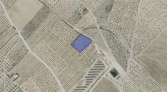 Undeveloped Land for sale in Caudete - € 8,900 (Ref: 9856170)