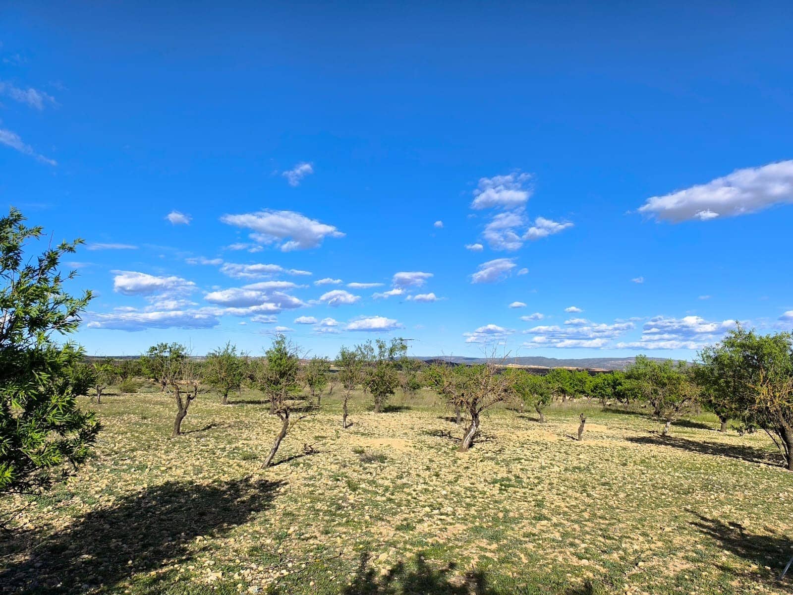Undeveloped Land for sale in Caudete - € 8,900 (Ref: 9856170)