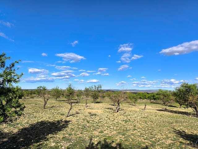 Undeveloped Land for sale in Caudete - € 8,900 (Ref: 9856170)