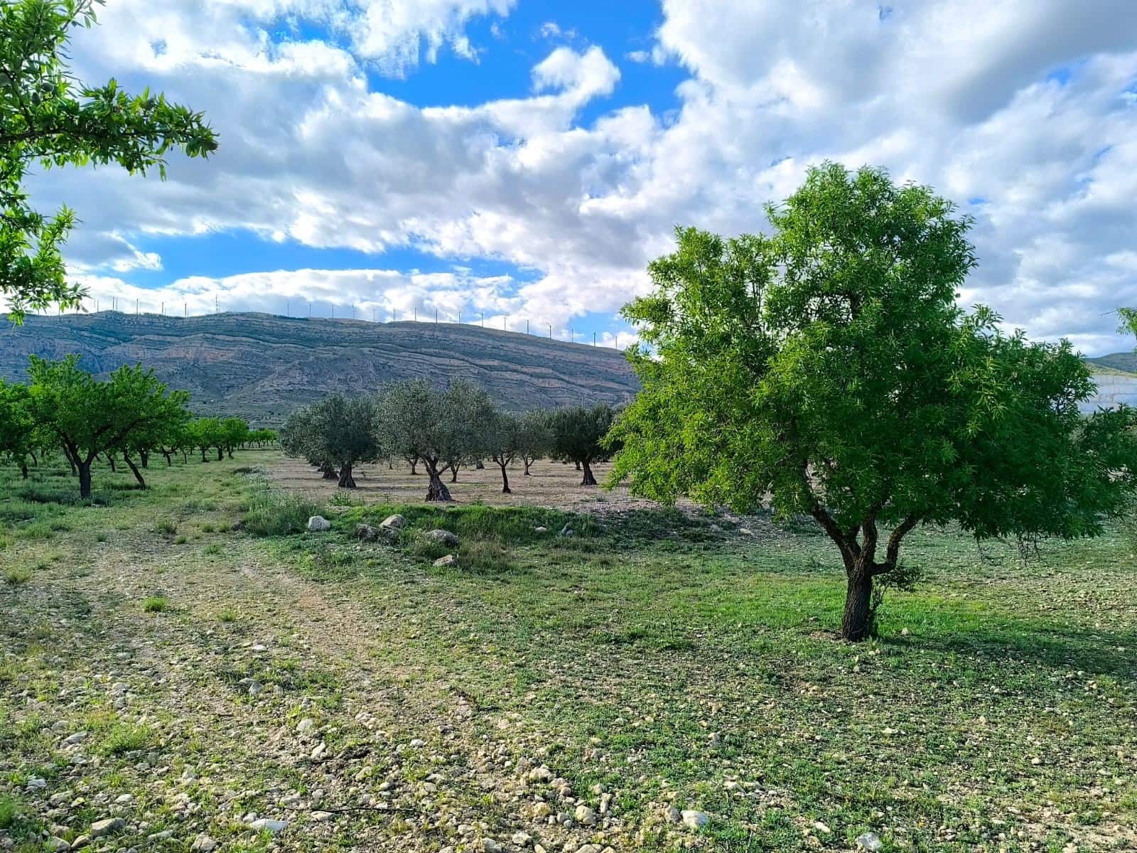 Undeveloped Land for sale in Caudete - € 8,900 (Ref: 9856170)