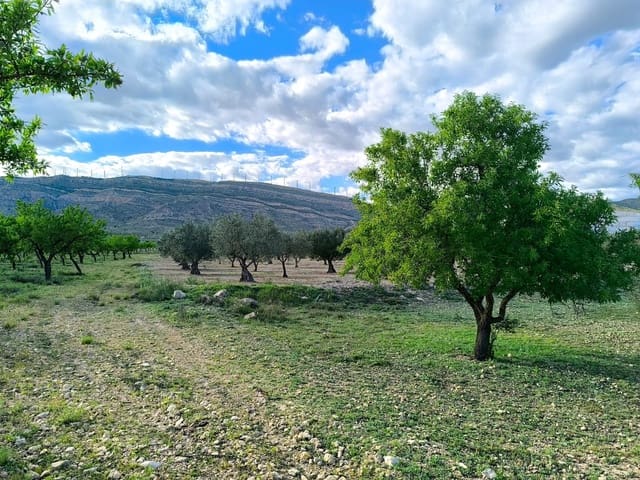 Undeveloped Land for sale in Caudete - € 8,900 (Ref: 9856170)