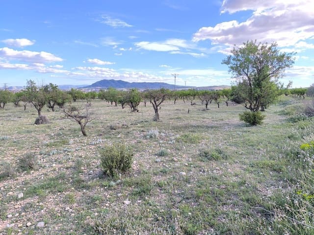 Undeveloped Land for sale in Caudete - € 8,900 (Ref: 9856170)