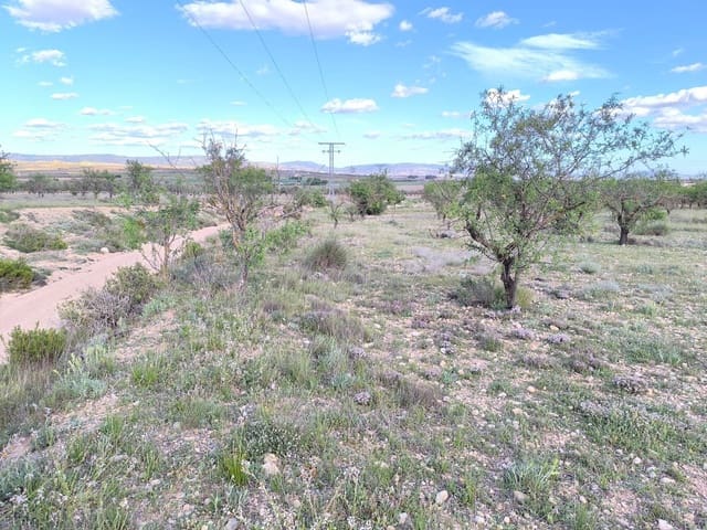 Undeveloped Land for sale in Caudete - € 8,900 (Ref: 9856170)