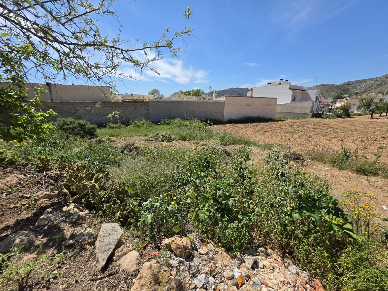 Ubebygd land til salgs i Hondon de las Nieves - € 36 000 (Ref: 9872229)