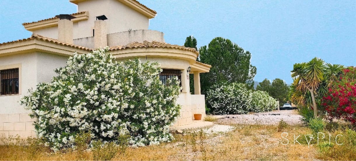 3 Zimmer Villa zu verkaufen in Pinoso mit Pool - 375.000 € (Ref: 9902075)