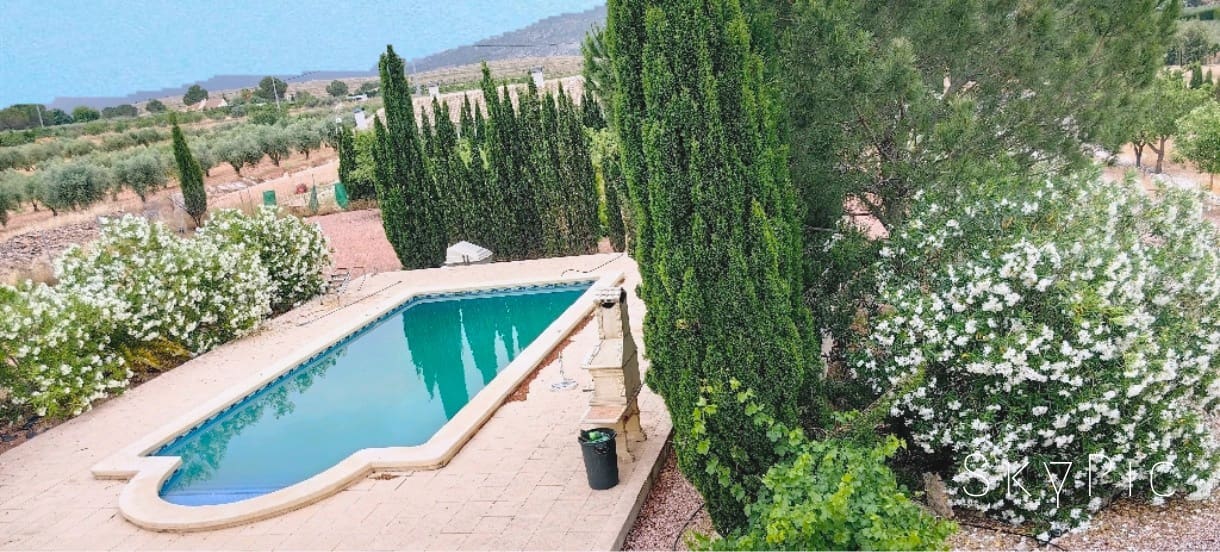 3 Zimmer Villa zu verkaufen in Pinoso mit Pool - 375.000 € (Ref: 9902075)