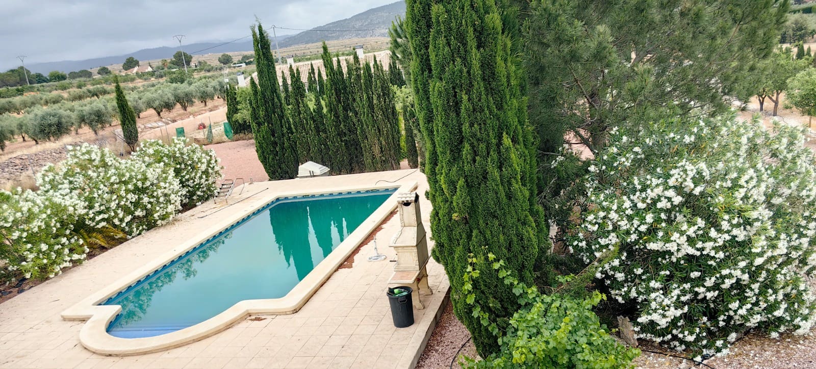3 Zimmer Villa zu verkaufen in Pinoso mit Pool - 375.000 € (Ref: 9902075)