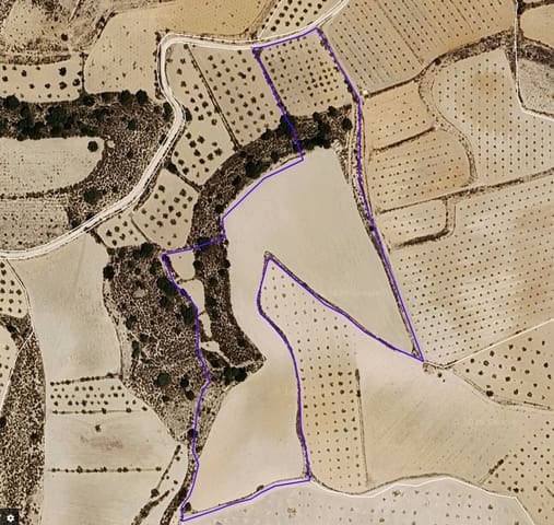 Landgrundstück zu verkaufen in Pinoso - 99.995 € (Ref: 9902333)