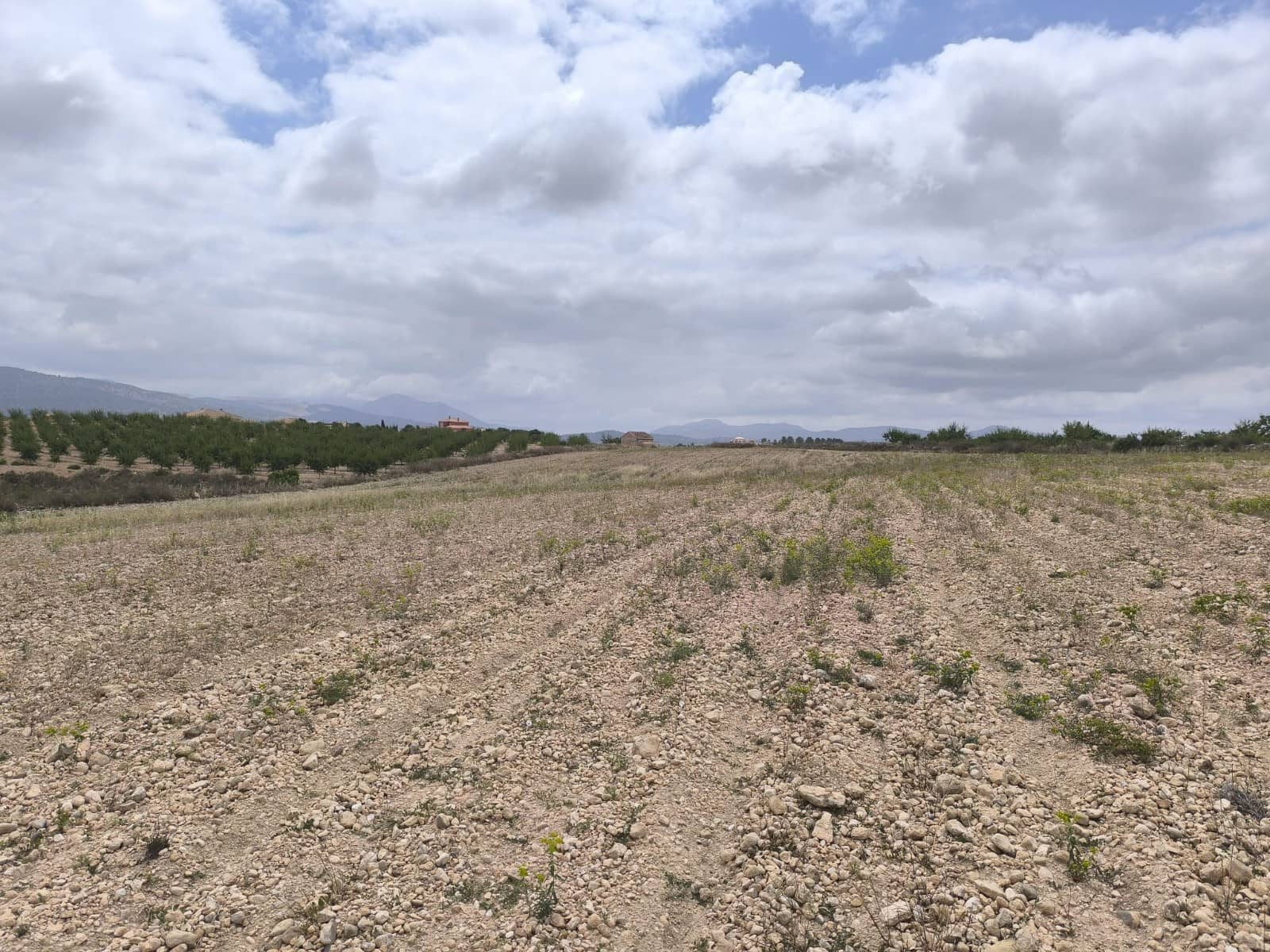 Terreno Não Urbanizado para venda em Pinoso - 99 995 € (Ref: 9902333)